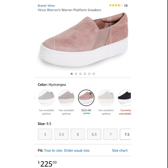 vince warren hydrangea